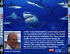 REQUINS 3D